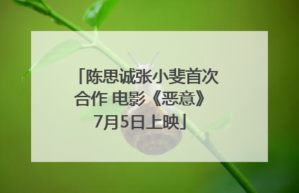 陈思诚张小斐首次合作 电影《恶意》7月5日上映
