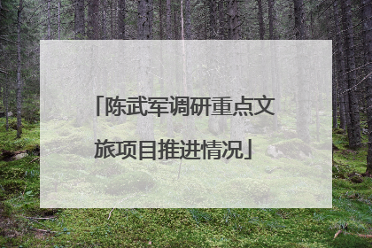 陈武军调研重点文旅项目推进情况
