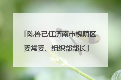陈鲁已任济南市槐荫区委常委、组织部部长
