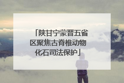 陕甘宁蒙晋五省区聚焦古脊椎动物化石司法保护