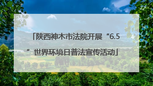 陕西神木市法院开展“6.5”世界环境日普法宣传活动