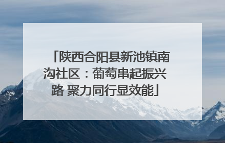 陕西合阳县新池镇南沟社区：葡萄串起振兴路 聚力同行显效能
