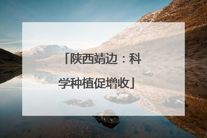 陕西靖边：科学种植促增收