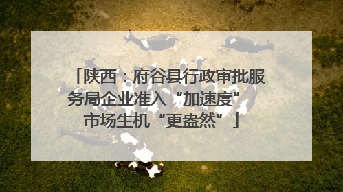 陕西：府谷县行政审批服务局企业准入“加速度” 市场生机“更盎然”