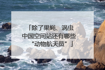 除了果蝇、涡虫 中国空间站还有哪些“动物航天员”