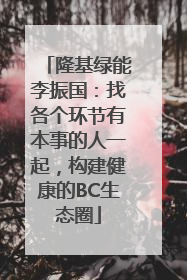 隆基绿能李振国：找各个环节有本事的人一起，构建健康的BC生态圈