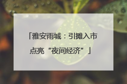 雅安雨城：引摊入市 点亮“夜间经济”