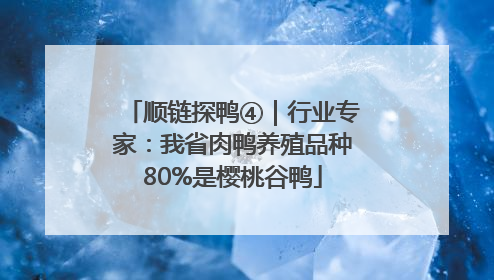 顺链探鸭④｜行业专家：我省肉鸭养殖品种80%是樱桃谷鸭