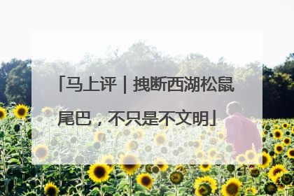 马上评｜拽断西湖松鼠尾巴，不只是不文明