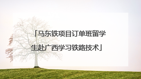 马东铁项目订单班留学生赴广西学习铁路技术