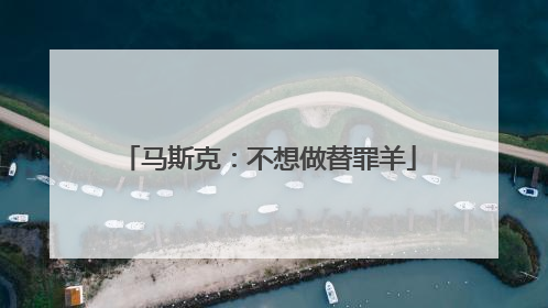 马斯克：不想做替罪羊