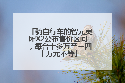 骑自行车的智元灵犀X2公布售价区间，每台十多万至三四十万元不等