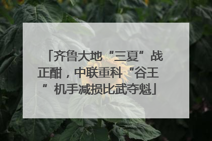 齐鲁大地“三夏”战正酣，中联重科“谷王”机手减损比武夺魁
