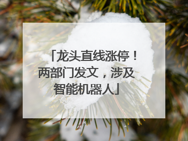 龙头直线涨停！两部门发文，涉及智能机器人