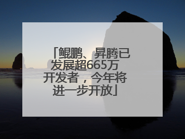 鲲鹏、昇腾已发展超665万开发者，今年将进一步开放