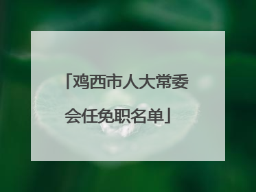 鸡西市人大常委会任免职名单