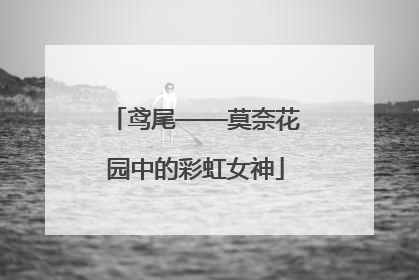 鸢尾——莫奈花园中的彩虹女神