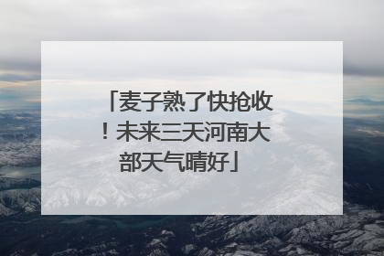 麦子熟了快抢收！未来三天河南大部天气晴好