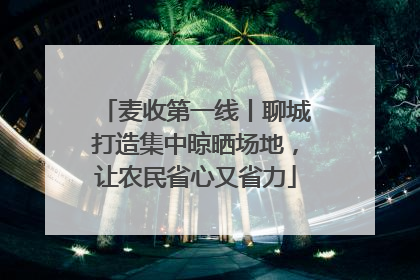 麦收第一线丨聊城打造集中晾晒场地，让农民省心又省力