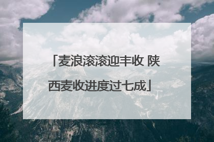 麦浪滚滚迎丰收 陕西麦收进度过七成