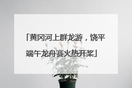 黄冈河上群龙游，饶平端午龙舟赛火热开桨