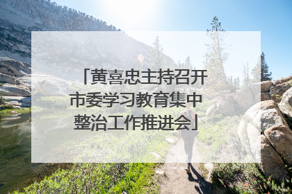 黄喜忠主持召开市委学习教育集中整治工作推进会