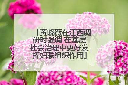 黄晓薇在江西调研时强调 在基层社会治理中更好发挥妇联组织作用