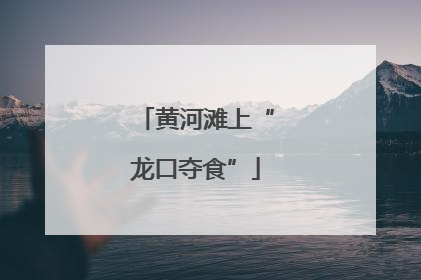 黄河滩上“龙口夺食”