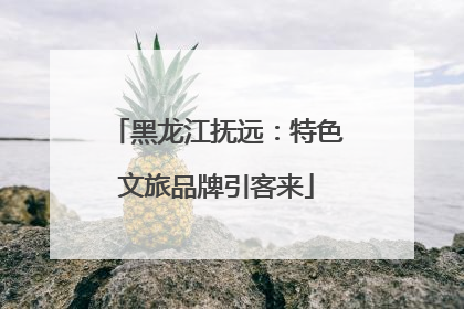 黑龙江抚远：特色文旅品牌引客来