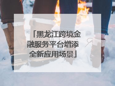 黑龙江跨境金融服务平台增添全新应用场景