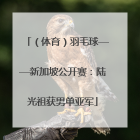 （体育）羽毛球——新加坡公开赛：陆光祖获男单亚军