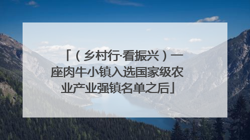 （乡村行·看振兴）一座肉牛小镇入选国家级农业产业强镇名单之后