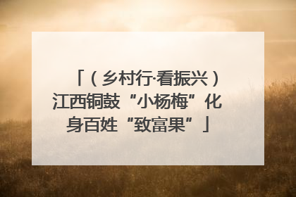 （乡村行·看振兴）江西铜鼓“小杨梅”化身百姓“致富果”