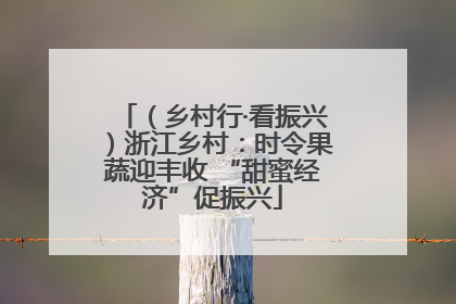 （乡村行·看振兴）浙江乡村：时令果蔬迎丰收 “甜蜜经济”促振兴