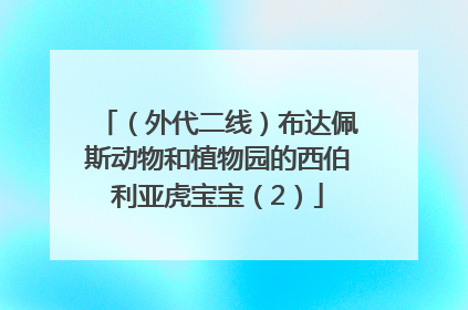（外代二线）布达佩斯动物和植物园的西伯利亚虎宝宝（2）