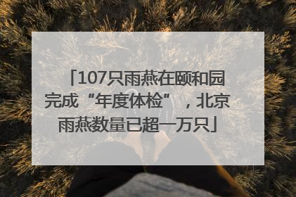 107只雨燕在颐和园完成“年度体检”，北京雨燕数量已超一万只