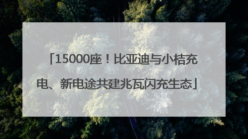 15000座！比亚迪与小桔充电、新电途共建兆瓦闪充生态