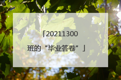 20211300班的“毕业答卷”