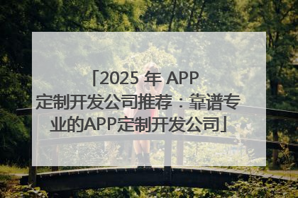 2025 年 APP 定制开发公司推荐：靠谱专业的APP定制开发公司