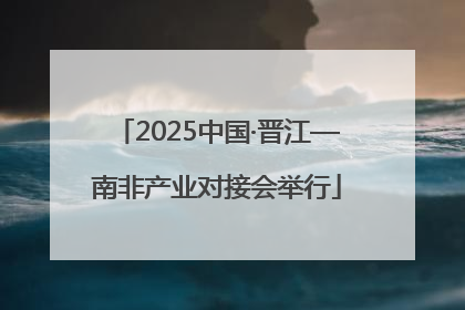 2025中国·晋江—南非产业对接会举行