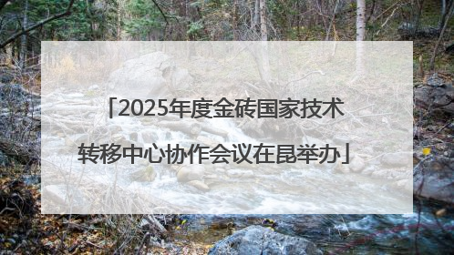 2025年度金砖国家技术转移中心协作会议在昆举办