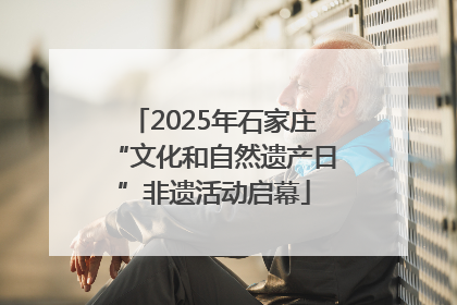 2025年石家庄“文化和自然遗产日”非遗活动启幕
