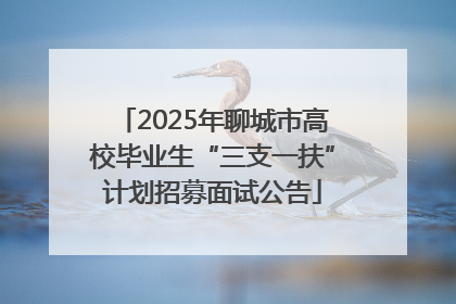 2025年聊城市高校毕业生“三支一扶”计划招募面试公告