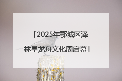 2025年鄂城区泽林旱龙舟文化周启幕