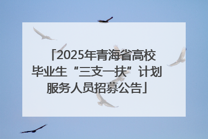 2025年青海省高校毕业生“三支一扶”计划服务人员招募公告