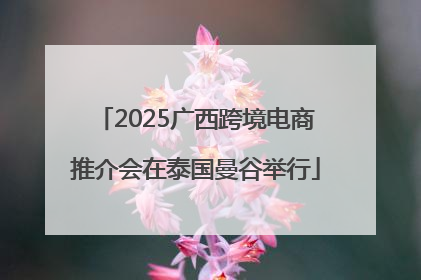 2025广西跨境电商推介会在泰国曼谷举行