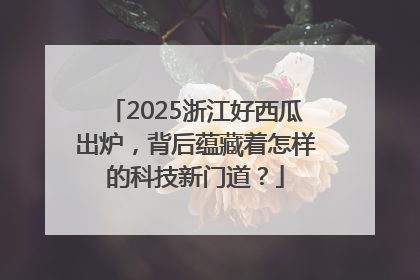 2025浙江好西瓜出炉，背后蕴藏着怎样的科技新门道？