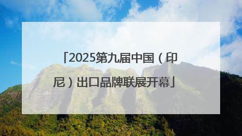 2025第九届中国（印尼）出口品牌联展开幕