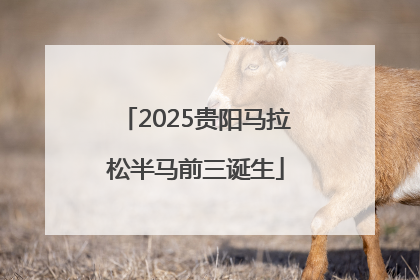 2025贵阳马拉松半马前三诞生
