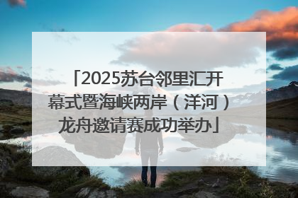 2025苏台邻里汇开幕式暨海峡两岸（洋河）龙舟邀请赛成功举办